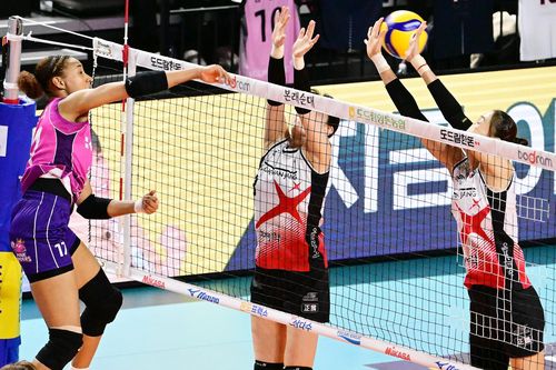 레이나의 공격(서울=연합뉴스) 흥국생명 레이나가 26일 인천 삼산월드체육관에서 열린 프로배구 여자부 플레이오프 3차전 정관장과의 홈 경기에서 공격을 시도하고 있다. [한국배구연맹 제공. 재판매 및 DB금지]