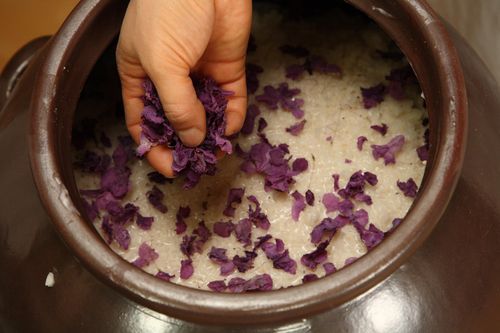 면천두견주 담는 모습 [문화재청 국가문화유산포털 제공. 재판매 및 DB 금지]