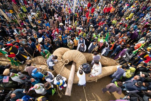 기지시줄다리기[국립무형유산원 제공. 재판매 및 DB 금지]