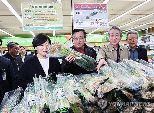 대파 살펴보는 최상목 부총리(성남=연합뉴스) 홍기원 기자 = 최상목 부총리 겸 기획재정부 장관과 송미령 농림축산식품부 장관, 강호동 농협중앙회장이 25일 오전 경기도 성남시 하나로마트 성남점에서 물가 현장 점검을 하고 있다. 2024.3.25 xanadu@yna.co.kr