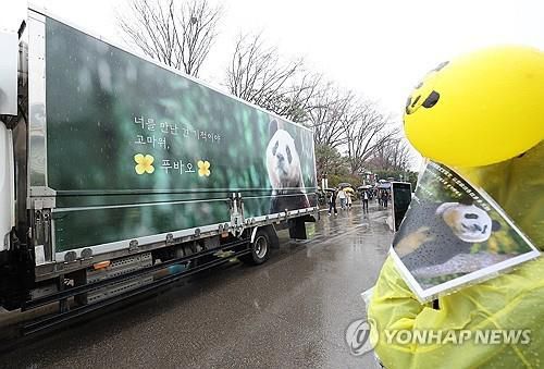 중국길 오른 푸바오[연합뉴스. 재판매 및 DB 금지]