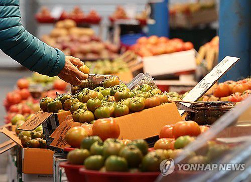 토마토 값도 오른다(서울=연합뉴스) 류영석 기자 = 과일 가격 급등으로 식료품 물가 또한 고공 행진을 이어가는 가운데 10일 서울의 한 재래시장에 토마토가 진열되어 있다.     이날 한국농촌경제연구원은 '농업관측 3월호' 보고서를 통해 이달 토마토, 딸기, 참외 등 주요 과채류 가격이 작년 같은 달보다 큰 폭으로 오를 것으로 내다봤다. 특히 이달 토마토와 대추방울토마토 도매가격을 각각 2만3천원(5㎏ 기준)과 2만4천원(3㎏ 기준)으로 1년 전보다 43.9%, 11.2% 오를 것으로 전망했다.2024.3.10 ondol@yna.co.kr