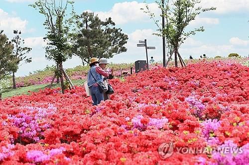 임실 붕어섬생태공원에서 기념촬영하는 관광객들[연합뉴스 자료사진]