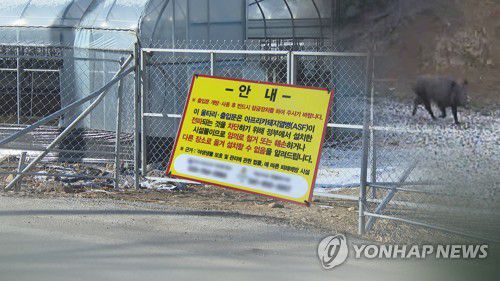 아프리카돼지열병 울타리(CG)[연합뉴스TV 제공]