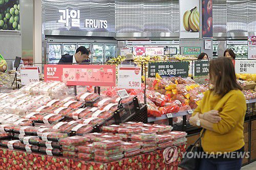 '한국 올해 과일ㆍ채소값 크게 뛰었다'(서울=연합뉴스) 강민지 기자 = 주요 선진국ㆍ대만과 비교해 우리나라의 과일·채소 가격이 크게 뛰었다는 조사 결과가 나온 22일 서울의 한 대형마트에서 시민들이 장을 보고 있다. 노무라증권에 따르면 G7과 전체 유로 지역, 대만과 한국의 올해 1∼3월 월평균 소비자물가지수(CPI) 상승률을 비교한 결과 한국은 3.0%로 세 번째로 높았다. 2024.4.22 mjkang@yna.co.kr