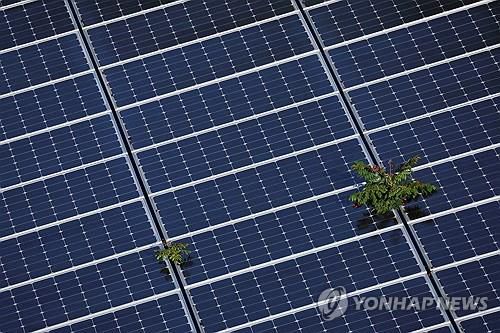 태양광 패널[로이터 연합뉴스 자료사진. 재판매 및 DB 금지]