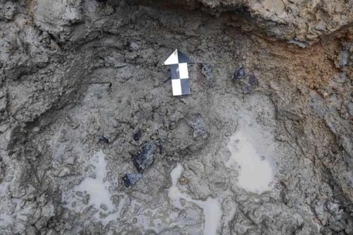 칠피갑옷 조각 출토 모습 [국가유산청 제공. 재판매 및 DB 금지]