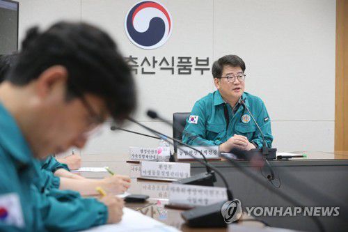 ASF 중앙사고수습본부 회의(서울=연합뉴스) = 아프리카돼지열병(ASF) 중앙사고수습본부는 지난 15일 경북 영천시 소재 양돈농장에서 ASF 확진 사례가 나오자 회의를 열어 발생 상황과 방역 대책을 점검했다. 권재한 농림축산식품부 농업혁신정책실장이 회의에서 발언하고 있다. 2024.6.16 [농림축산식품부 제공]