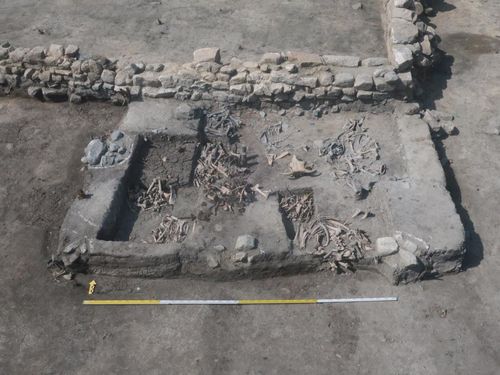 소뼈가 발굴된 현장 [한울문화유산연구원 제공. 재판매 및 DB 금지]