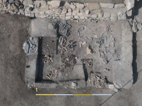 소뼈가 무더기로 발굴된 현장 [한울문화유산연구원 제공. 재판매 및 DB 금지]