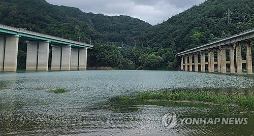 초록물이 된 소양호 상류[연합뉴스 자료사진]