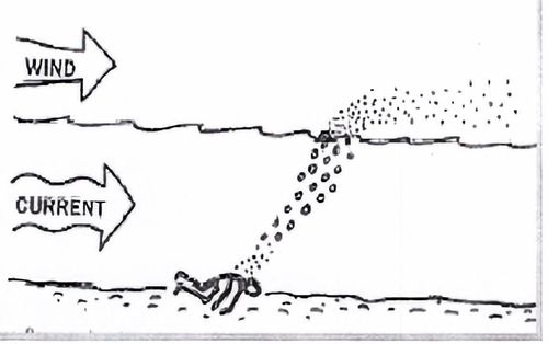 수중수색 원리[경기북부경찰청 제공, 재판매 및 DB 금지]