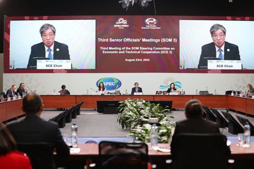 11~25일 페루에서 열린 APEC 3차 고위관리회의에 참석한 김희상 외교부 경제외교조정관[외교부 제공]