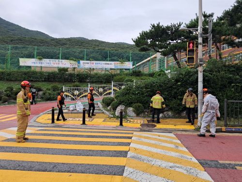 벌집 제거 작업[경기도소방재난본부 제공. 재판매 및 DB 금지]