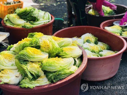 김장[한국물가정보 제공. 재판매 및 DB 금지]