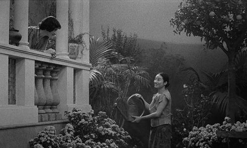 영화 '그랜드 투어' 속 한 장면[부산국제영화제 제공. 재판매 및 DB 금지]