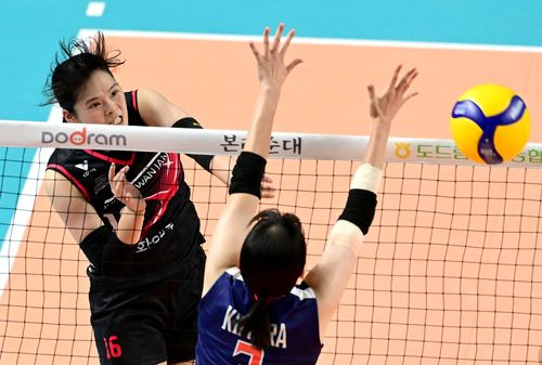 정관장 신은지[KOVO 제공. 재판매 및 DB 금지]