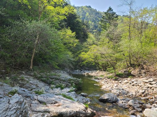 강원도 방태산 아침가리 숲길[산림청 제공. 재판매 및 DB 금지]