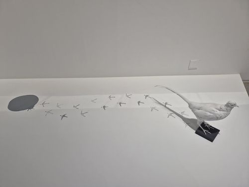 이강소의 '꿩'(서울=연합뉴스) 황희경 기자 = 국립현대미술관 서울관에서 11월1일 시작하는 이강소 개인전 '풍래수면시'에 전시된 '꿩'(1972/2018 재제작). 2024.10.31.   zitrone@yna.co.kr