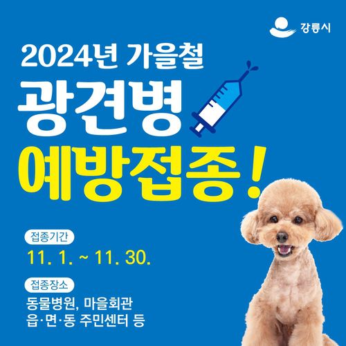 광견병 예방접종 안내 [강릉시 제공. 재판매 및 DB 금지]