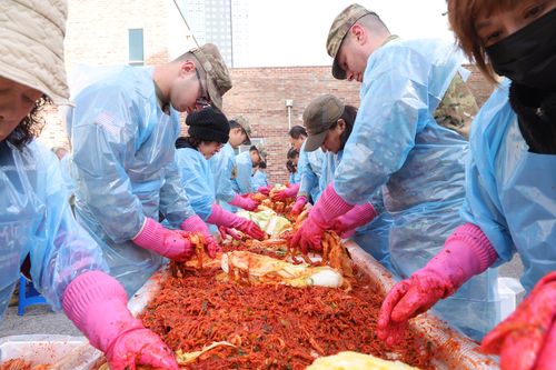 김장 자원봉사 나선 미군    (동두천=연합뉴스) 임병식 기자 = 김치의 날(11월 22일)을 앞둔 19일 경기도 동두천시 자원봉사센터에서 열린 김장 행사에서 미2사단/한미연합사단 210포병여단 장병들과 자원봉사자들이 김치를 만들고 있다. 2024.11.19     andphotodo@yna.co.kr (끝)