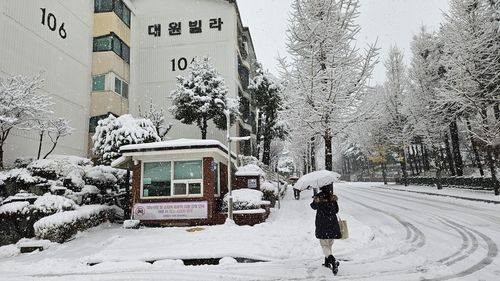 분당 야탑동 목련마을[촬영 이우성]