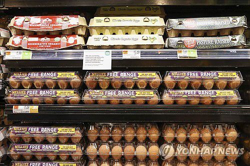 지난 16일 뉴욕의 한 식료품 매장에 계란이 진열된 모습[EPA 연합뉴스 자료사진. 재판매 및 DB 금지]