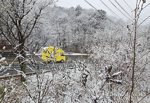 눈이 내린 대관령[촬영 유형재]