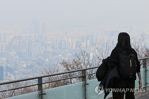 안 추워서 활동하기는 좋은데..(서울=연합뉴스) 신현우 기자 = 서울 초미세먼지 농도가 '나쁨' 수준을 보인 14일 오후 서울 남산을 찾은 관광객이 서울 시내를 바라보고 있다. 2025.1.14 nowwego@yna.co.kr