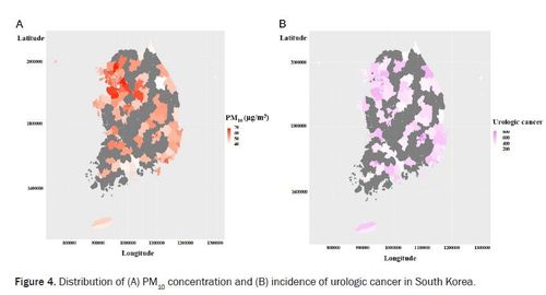 유사한 양상을 보이는 미세먼지 농도 분포(왼쪽)와 비뇨기계 암 발생률 지도[서울성모병원 제공]