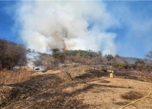 장성 야산 산불 현장[산림청 제공. 재판매 및 DB 금지]