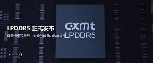 창신메모리테크놀로지(CXMT)의 반도체 제품[CXMT 홈페이지 캡처. 재판매 및 DB 금지]