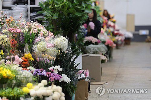 졸업식 특수 사라진 화훼업계(서울=연합뉴스) 임화영 기자 = 졸업식 시즌을 앞뒀지만 입춘한파, 고물가 등으로 화훼업계도 불황을 피해 가지 못한 가운데 9일 오전 서울 서초구 양재꽃시장이 한산하다. 2025.2.9 hwayoung7@yna.co.kr