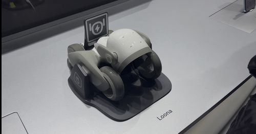 아너 루나[촬영 조현영]