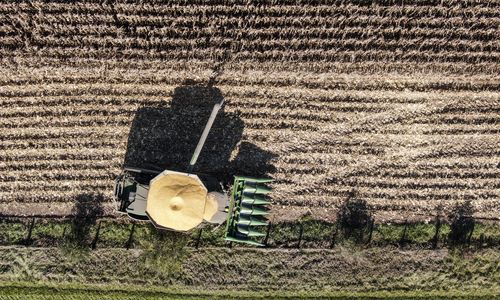미국의 대두 밭[AFP 연합뉴스 자료사진. 재판매 및 DB 금지]