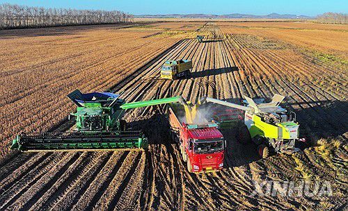 중국의 대두 경작지[신화 연합뉴스 자료사진]