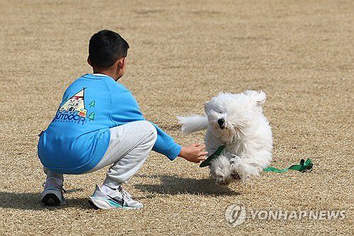 강아지도 신나는 봄(서울=연합뉴스) 서대연 기자 = 서울 한낮 기온이 12도까지 오르며 포근한 날씨를 보인 9일 서울 종로구 송현광장에서 봄나들이를 나온 어린이와 강아지가 뛰놀고 있다. 2025.3.9 dwise@yna.co.kr