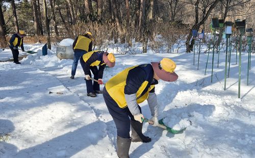 전시원서 제설작업 하는 어르신들[한국수목원정원관리원 제공. 재판매 및 DB 금지]