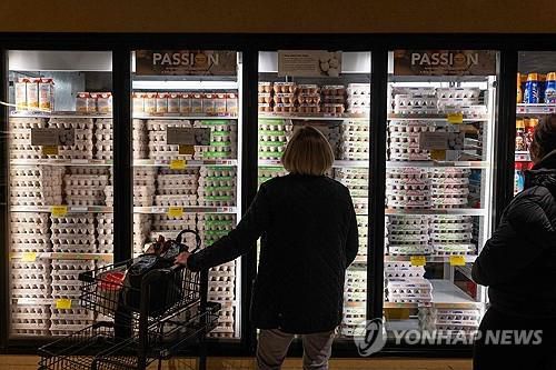 뉴욕시 한 식료품점의 계란 진열대[AFP 연합뉴스 자료사진]