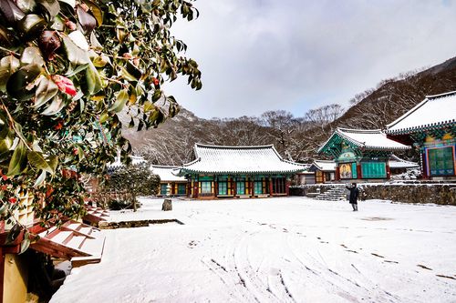 눈 내린 쌍계사 [사진/백승렬 기자]