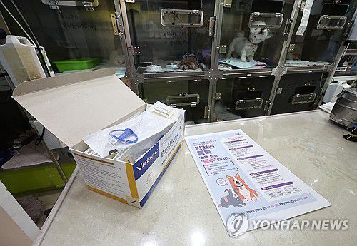 '반려견 등록, 선택 아닌 필수입니다'(서울=연합뉴스) 류영석 기자 = 동물보호법에 따른 '동물등록 자진신고 기간'이 시작된 지난해 8월 5일 서울 동작구 동물등록 대행기관인 굿파파 24시 반려동물건강검진센터에 관련 안내문과 내장형 동물등록 마이크로칩이 놓여 있다. [연합뉴스 자료사진] 2025.3.14