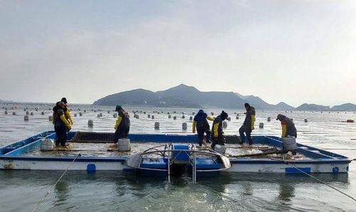어촌 외국인 계절근로자[군산시 제공. 재판매 및 DB 금지]