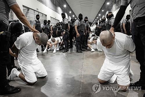 미국에서 추방된 후 엘살바도르 감옥에 입소하며 삭발당하는 입소자들[AFP를 통해 배포된 엘살바도르 대통령실 제공 사진. DB 및 재판매 금지. 크레딧 표시 필수. MANDATORY CREDIT "AFP PHOTO / EL SALVADOR'S PRESIDENCY PRESS OFFICE" - NO MARKETING NO ADVERTISING CAMPAIGNS] 2025.3.17.