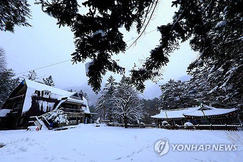 폭설에 설악산 탐방 전면통제(인제=연합뉴스) 18일 강원 인제군 북면 설악산 장수대분소에서 폭설로 인해 탐방이 전면 통제되고 있다. 2025.3.18 [인제군 제공. 재판매 및 DB 금지] conanys@yna.co.kr
