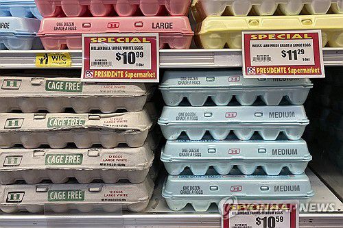 미국 마이애미 슈퍼마켓의 달걀[AP 연합뉴스 자료사진. 재판매 및 DB 금지]