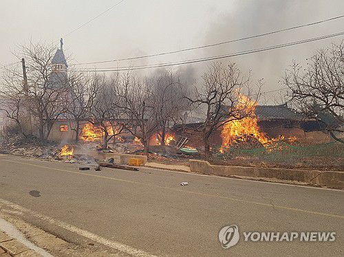 의성군 대형 산불[연합뉴스 독자 제공. 재판매 및 DB 금지]