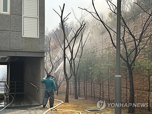 민가 방어하는 공무원들(울산=연합뉴스) 김용태 기자 = 25일 울산 울주군 언양읍 송대리에서 발생한 산불이 민가로 확산하지 않도록 공무원들이 진화 작업을 벌이고 있다. 2025.3.25 jjang23@yna.co.kr