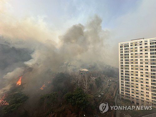 아파트 코앞까지 다가온 화마(울산=연합뉴스) 김용태 기자 = 25일 울산 울주군 언양읍 송대리에서 발생한 산불이 아파트 가까이 다가와 있다. 2025.3.25 jjang23@yna.co.kr