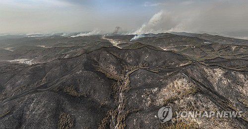 '의성 산불 나흘째' 폐허로 변한 산림(의성=연합뉴스) 윤관식 기자 = 경북 의성군 산불 발생 나흘째인 25일 산불이 휩쓸고 간 의성군 산림이 폐허가 된 모습을 보이는 가운데 산불이 안동시 쪽으로 번져나가고 있다.     지난 22일 발생한 의성 산불의 산불영향규모는 현재까지 1만2천565㏊로, 2000년 4월 강원 강릉·동해·삼척·고성 산불(2만3천913ha), 2022년 3월 경북 울진·강원 강릉·동해·삼척 산불(2만523ha)에 이어 국내 산불 피해 규모로는 세 번째로 큰 것으로 파악되고 있다. 2025.3.25 psik@yna.co.kr