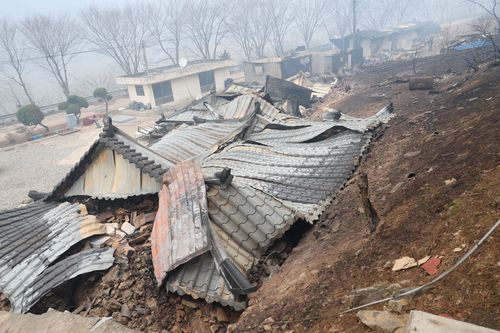 화마에 주저앉은 대웅전  (영양=연합뉴스) 박세진 기자 = 27일 경북 영양군 석보면 법성사 대웅전이 화마로 인해 무너져있다. 2025.3.27 psjpsj@yna.co.kr